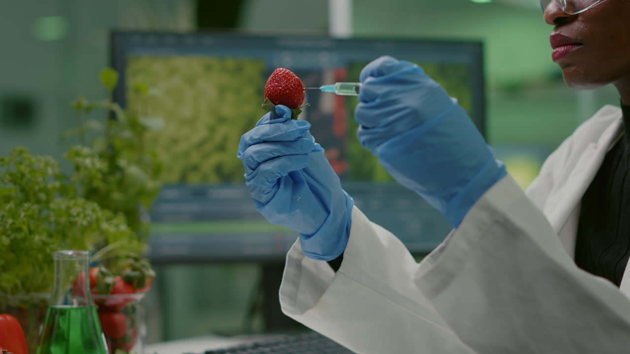 Closeup of biologist scientist injecting strawberry with dna liquid