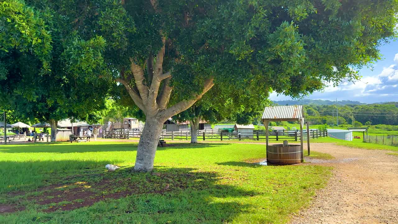 A serene farm scene with lush greenery, trees, and buildings under bright sunlight in Byron Bay, Australia