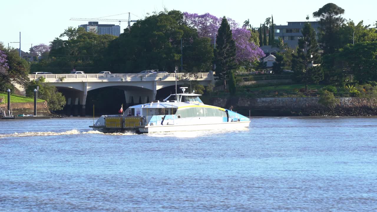 노먼 공원과 강변 주택이 있는 주변 주거 지역에서 통조림 다리를 캡처하여 강을 가로질러 항해하는 citycat 2층 페리