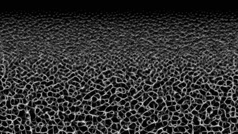 Mycelium Network Linear Growth - Black Background