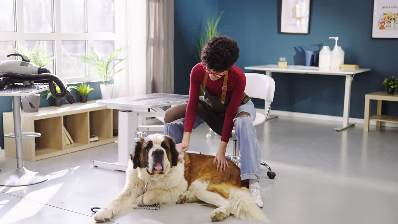 Düz Yeşil Ekran Chroma Key Arka Planı