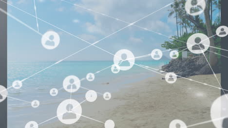 network of connections animation over tropical beach scene with palm trees and ocean