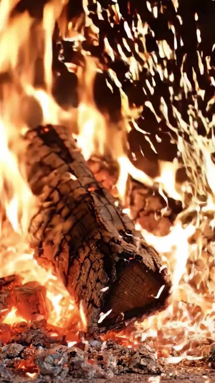Fiamme affascinanti danzano intorno a tronchi carbonizzati, creando un'atmosfera calda e invitante piena di braci ardenti e scintille tremolanti.