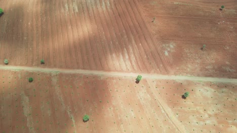 drone mavic air 2 flying over the hill in the africa savanna desert zone. climate change desert zone of africa. arid places without water in kenya during the drought seasons.