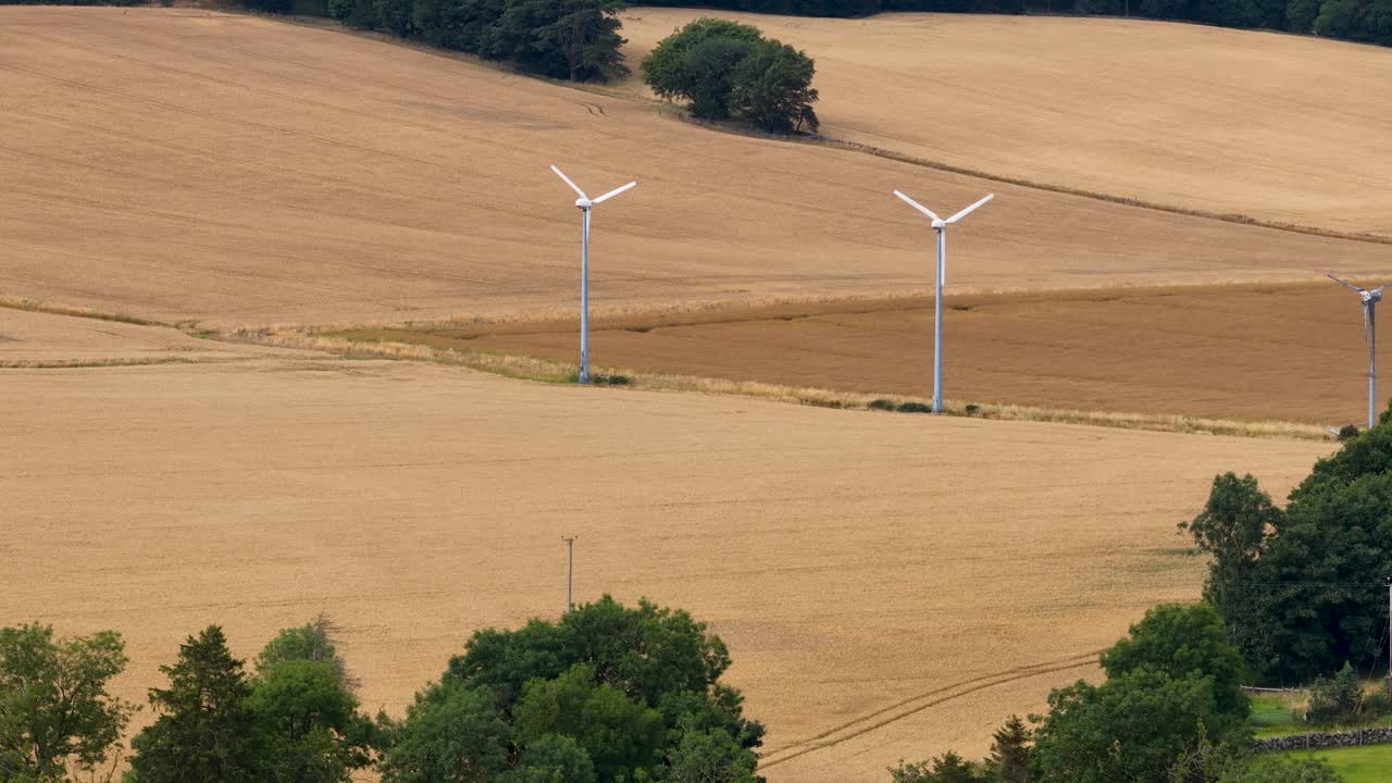 Two wind turbines slowly rotate above expansive golden wheat fields under daylight, with gentle camera movement and a tranquil rural landscape near Kinross, Scotland