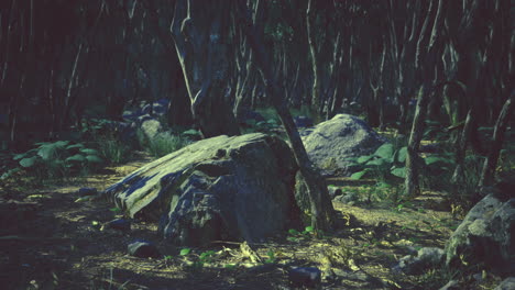 mysterious rock formation under soft moonlight in dense forest setting