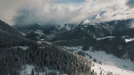 Bosque-De-Montaña-Paisaje-Nevado-Con-Nieve,-Luz-Solar-Y-Cielo-Azul