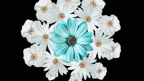 floral arrangement with turquoise center