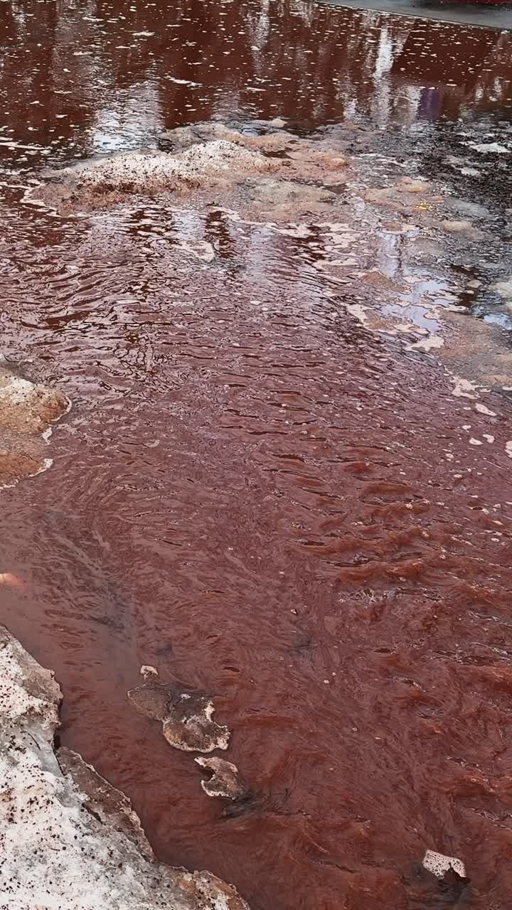 Scatto verticale drammatico di veloce acqua di disgelo primaverile che inonda la superficie di un parco urbano. Ideale per contenuti sul cambiamento climatico, bollettini meteorologici stagionali e temi di gestione idrica urbana.
