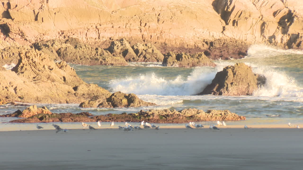 Coastal Scene with Gulls