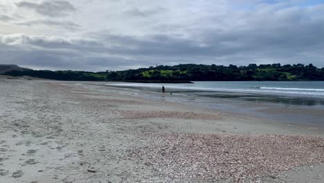 A-woman-jogs-on-the-beach-with-her-pet-dog-on-a-cloudy-day-in-Omaha-Warkworth-New-Zealand