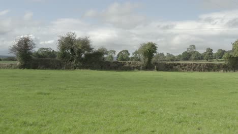 Sobrevuelo-Aéreo-Pov-De-Pastizales-Verdes-Cercados-Con-Setos-En-Irlanda