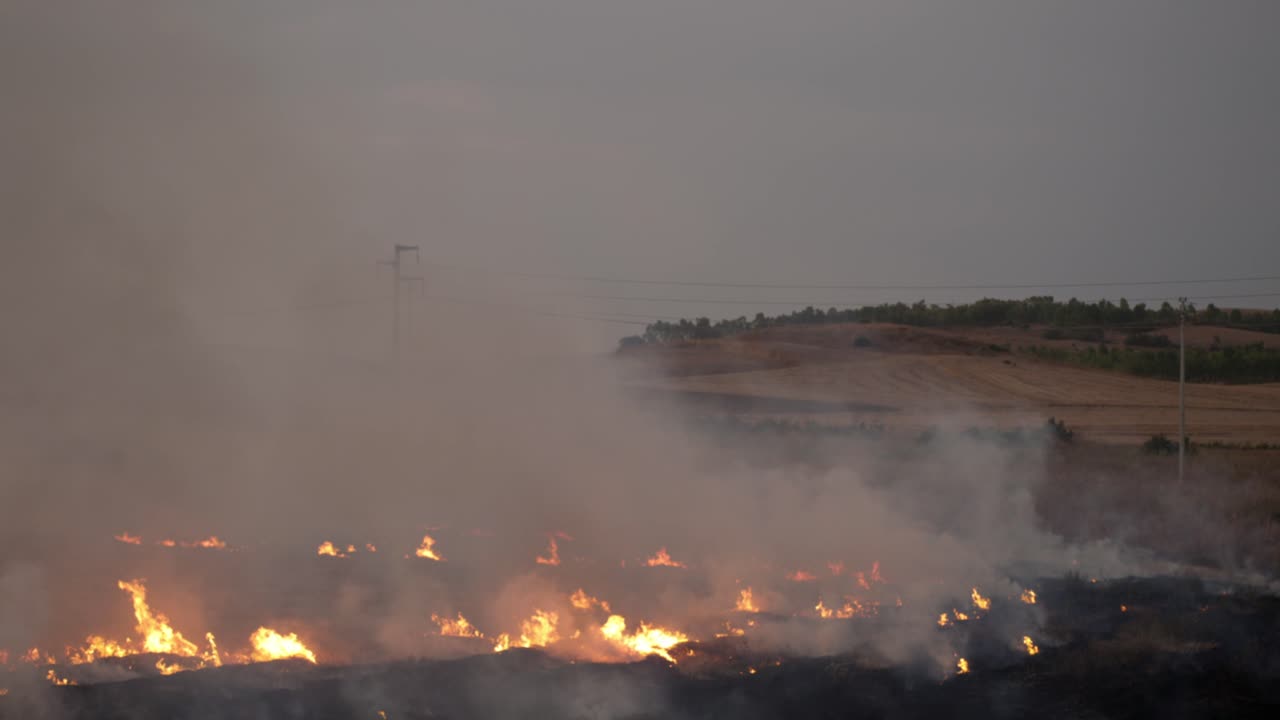 Blazing flames and grey smoke cloud coming up from a wildfire burning cultivated fields