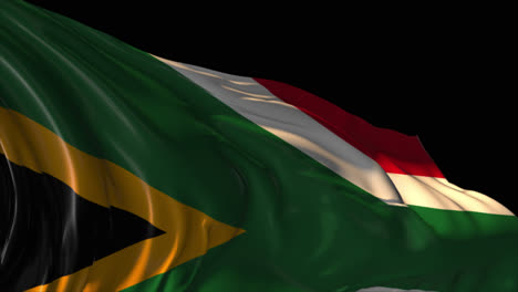 waving south african flag