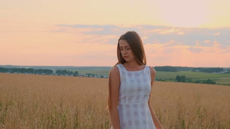 mujer en un campo de trigo al atardecer