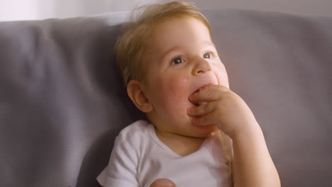 close up view of a baby sitting on sofa in living room at home while bitting a toy animal