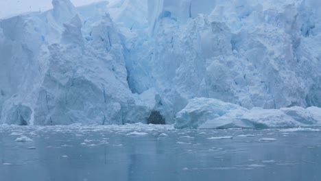 Massive-Glacier-on-Antarctica-Coast,-Paradise-Harbour,-on-Snowy-Day,-Panorama