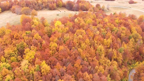 Vista-Aérea-De-Caminos-Increíbles-A-Través-Del-Parque-Nacional-Durmitor-En-Montenegro-Lleno-De-Increíbles-Colores-De-Otoño-Durante-El-Otoño