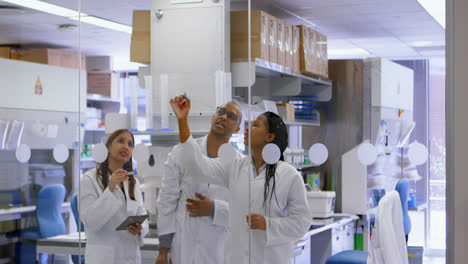 Team-of-scientist-discussing-on-glass-wall-4k