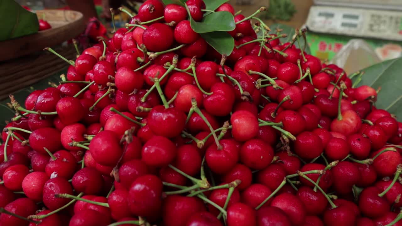 Panning shot of fresh red cherries