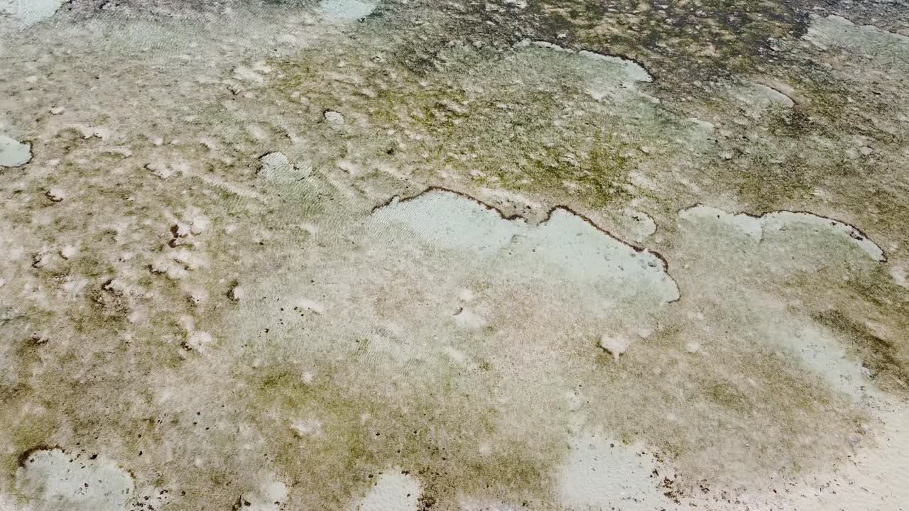 Aerial view flying over coral reef, sand and rock formation in ocean at low tide on tropical island of Timor-Leste, Southeast Asia