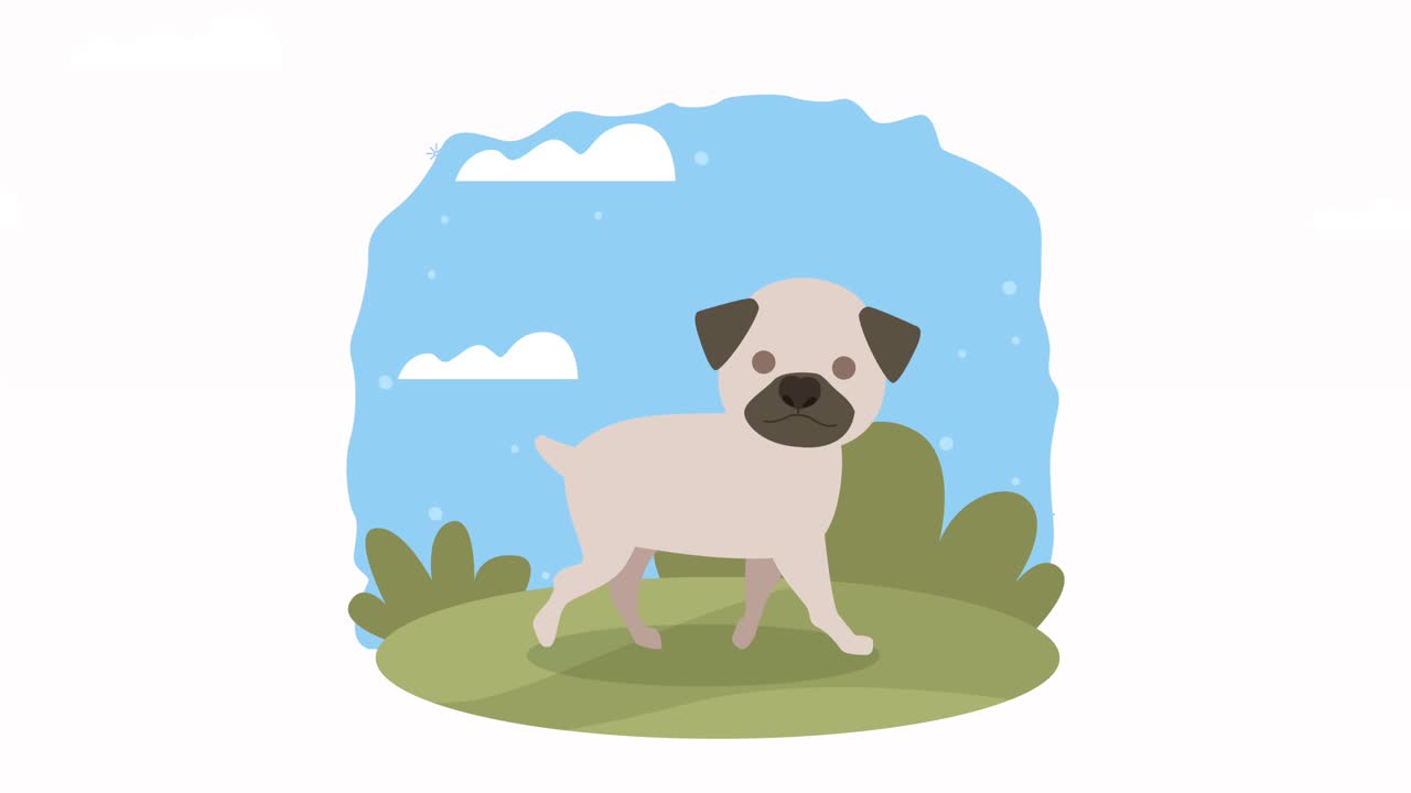 pug mascot in the camp animation