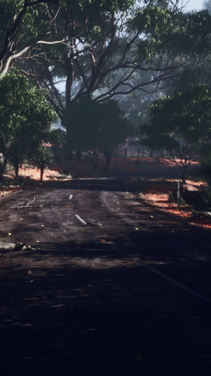 오스트레일리아 외을 가로지르는 황폐한 도로