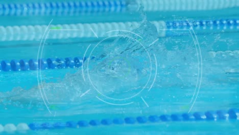 Animation-of-scope-scanning-and-data-processing-over-caucasian-male-swimmer-in-swimming-pool
