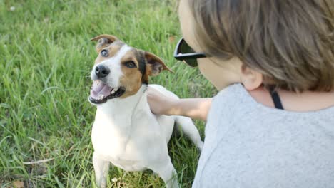 woman with her dog on the grass