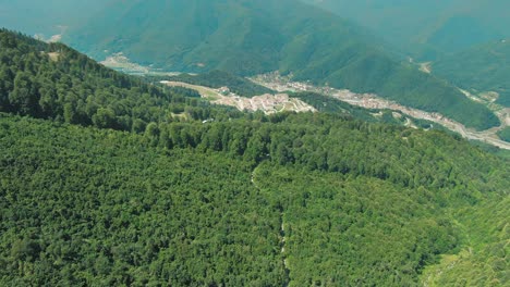 aerial view of mountainous region with village and forest