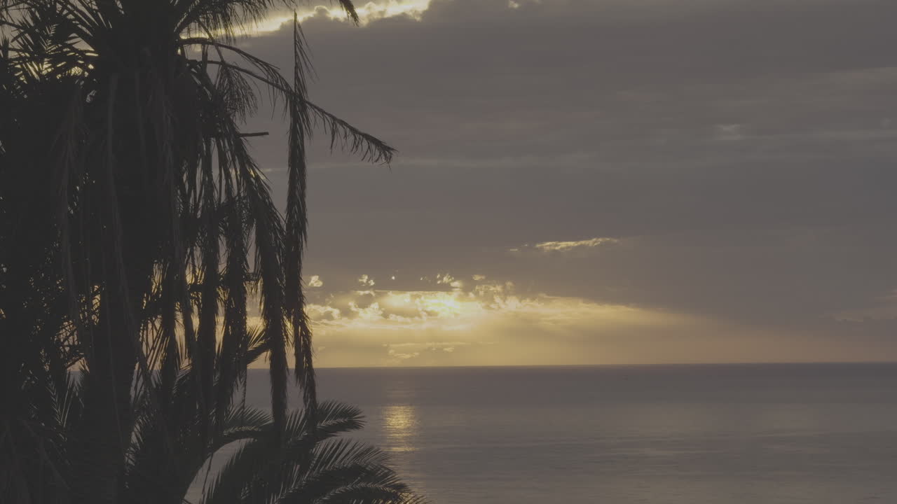 puesta de sol sobre el océano con palmeras