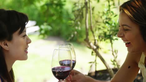 Two-friends-toasting-red-wine-glasses