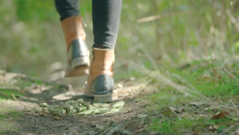 Slow-Motion-Walking-on-Country-Track