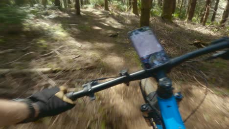 ciclismo de montaña del noroeste del pacífico en senderos sencillos de bosque denso y senderos de marga fluida y llenos de baches