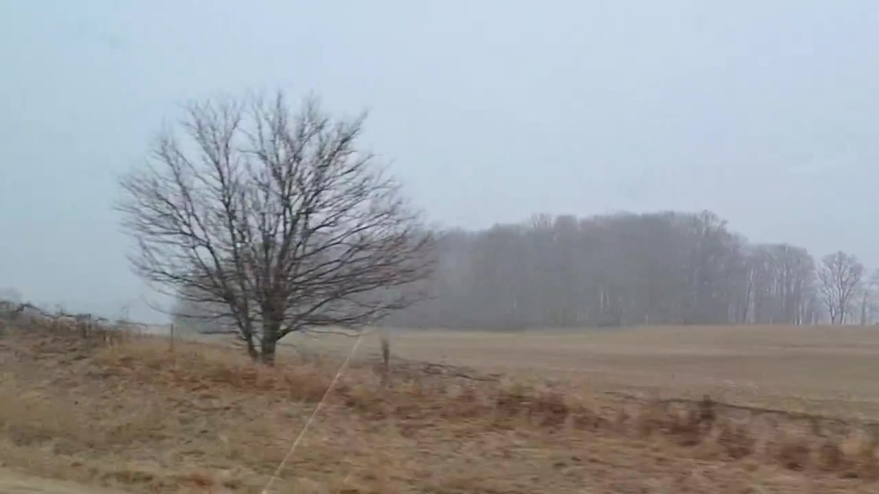 A POV shot out the window of a moving vehicle as snow flies and as trees, grass, and fields along the edge of the road.