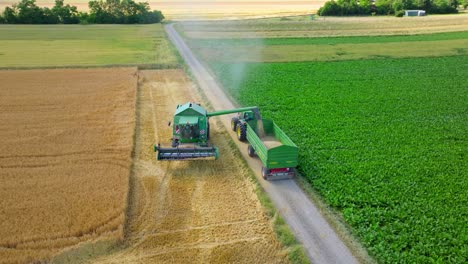 Transferring-Grains-From-Combine-Harvester-Into-Farm-Trailer-At-The-Field