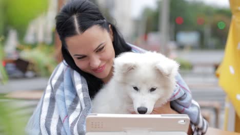 beautiful brunette with a dog uses a laptop and looks at it girl warms a white dog on an autumn day