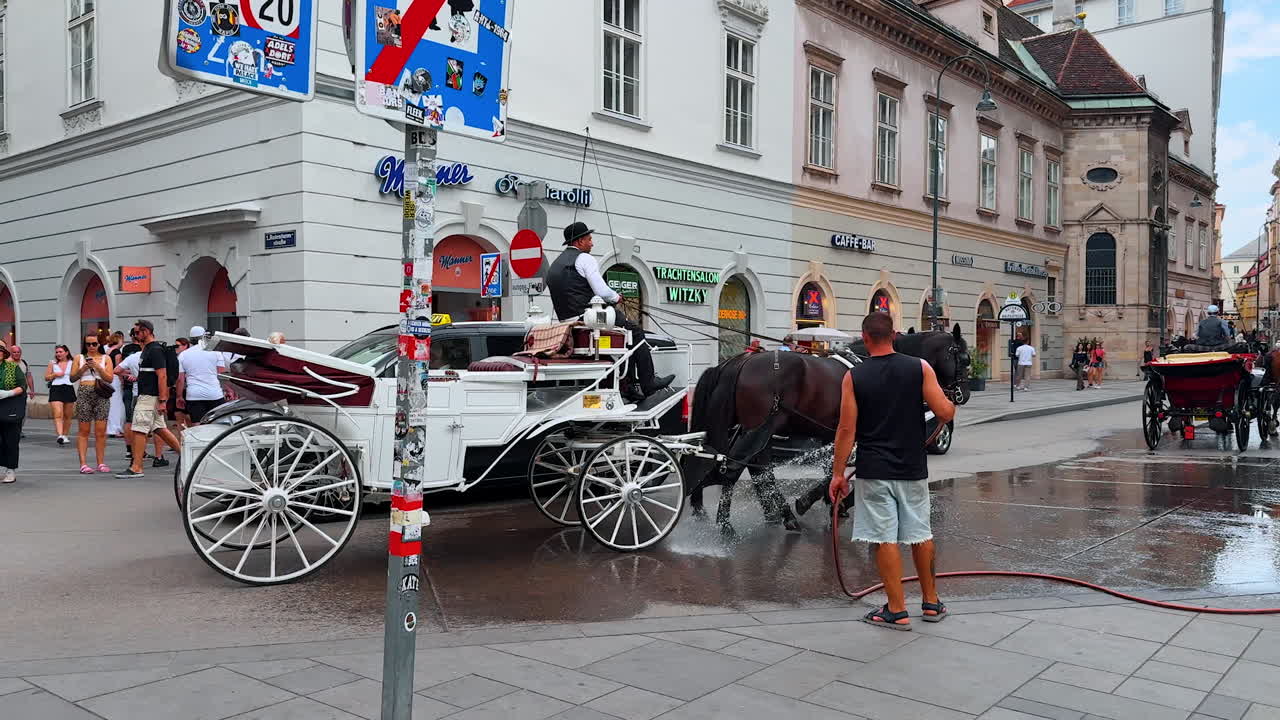 Vienna, Austria - June 9, 2025: Man with a hose washing the horses and carriage. Ride by the old town in Vienna, Austria