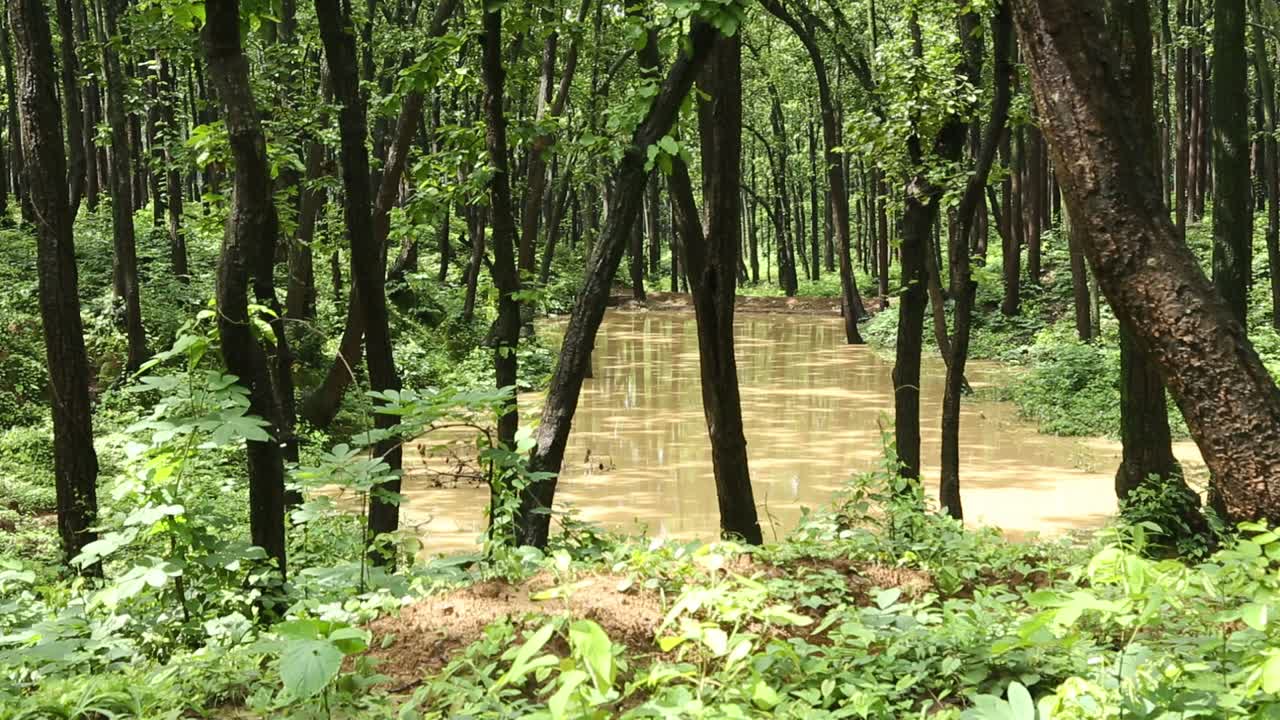 빗물 수확 기술 이 기술은 경사면, 강, 날라스를 통해 낭비되는 물을 절약하기 위해 채택되었습니다.