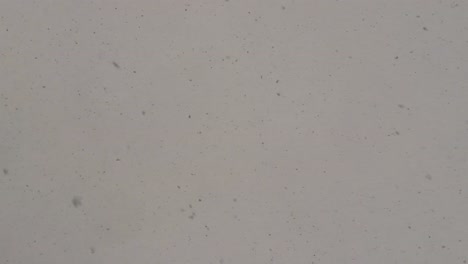 close-up of snowflakes falling