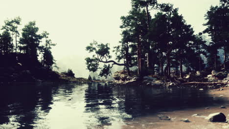 pacífico lago forestal con niebla y árboles
