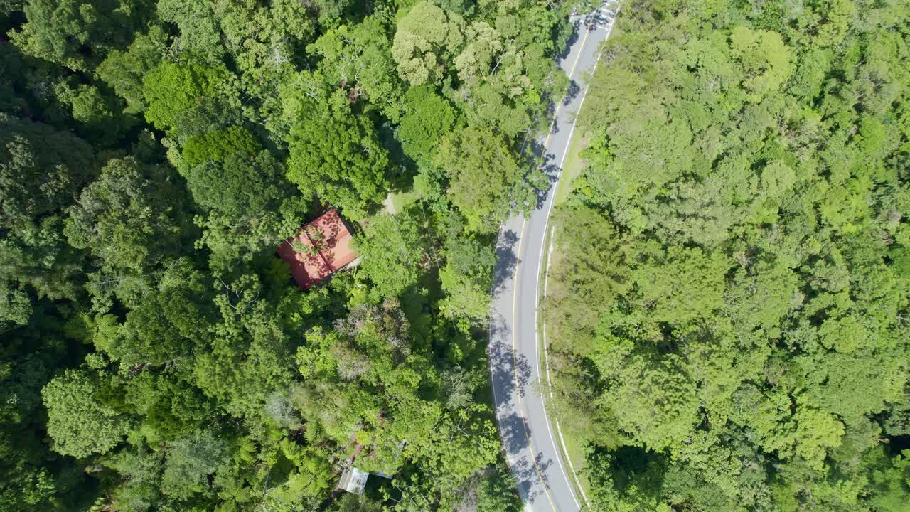 imágenes aéreas de drones de una carretera con curvas vacía en medio de la selva tropical en guatemala, américa central