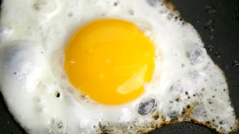 egg in frying pan – timelapse.