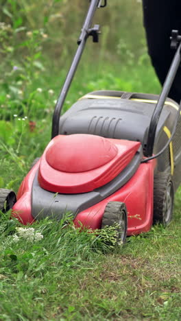lawn mower on green grass. closeup of mowing the grass with lawn mower