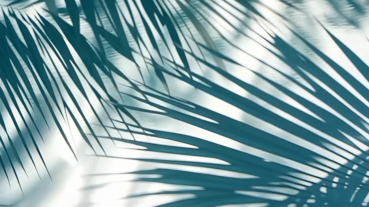 A video with a close-up, top-down angle of palm leaf shadows, creating a tropical, serene ambiance