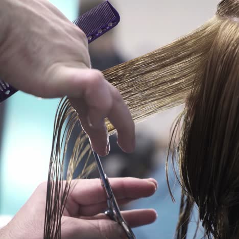proceso de creación de estilo de cabello