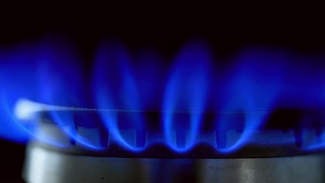 gas blue flame. gas stove on black background. burning natural gas. switching on fire on stove. close-up.