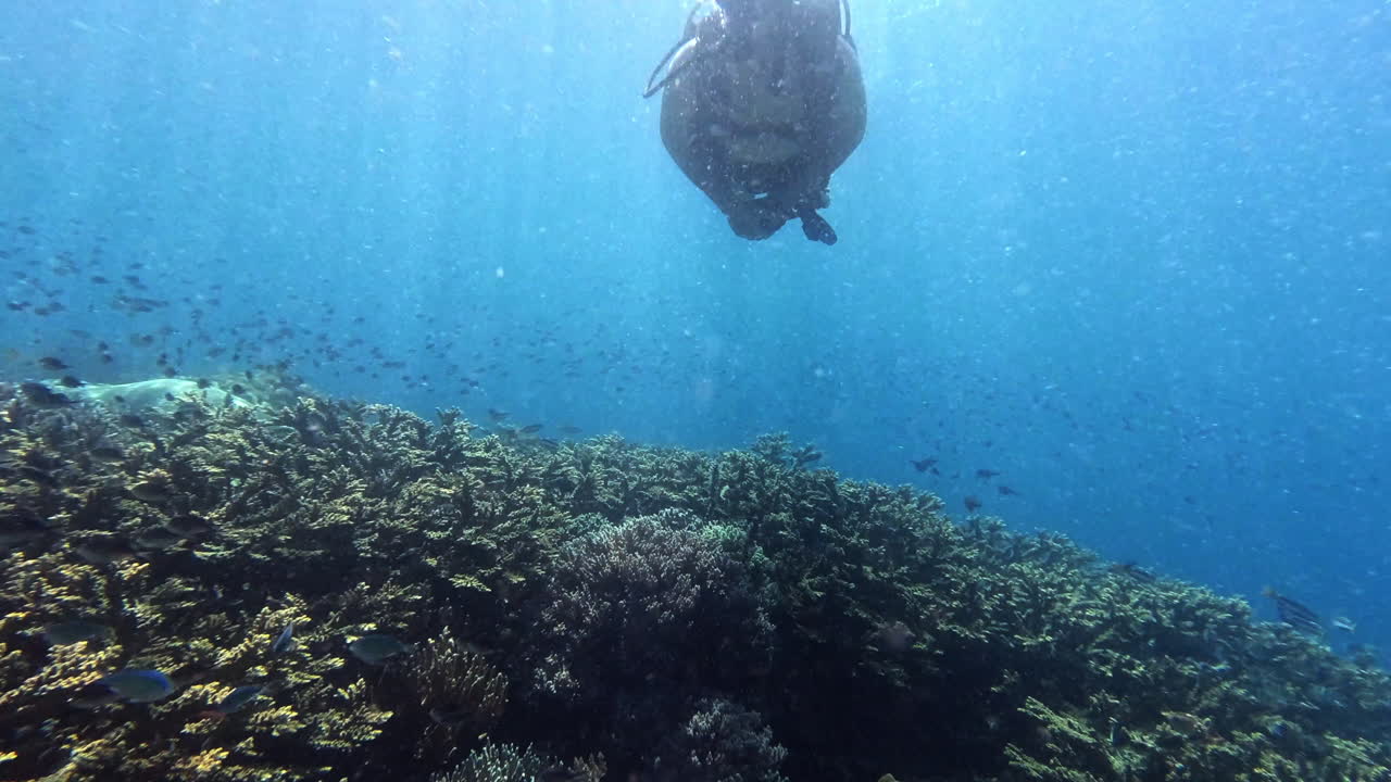 It's their world and we're just visiting