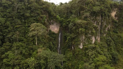 cascada en medio de la selva
