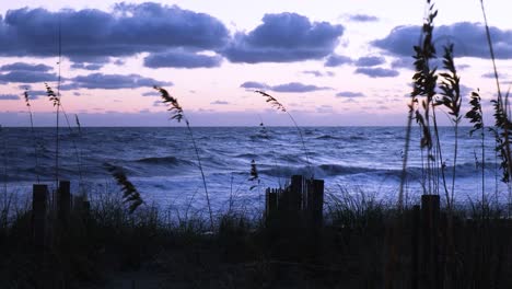 sea oats on sand dunes blow in a coastal breeze at sunrise with dramatic sky over the sea